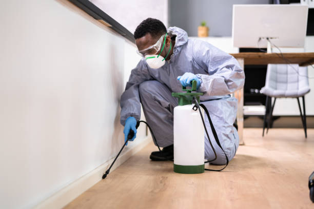 Best Fumigation Services  in Aberdeen, WA